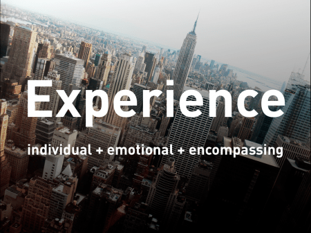 Fig 01: Definition of Experience